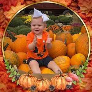 Meet your Posher, Lilly chris hager